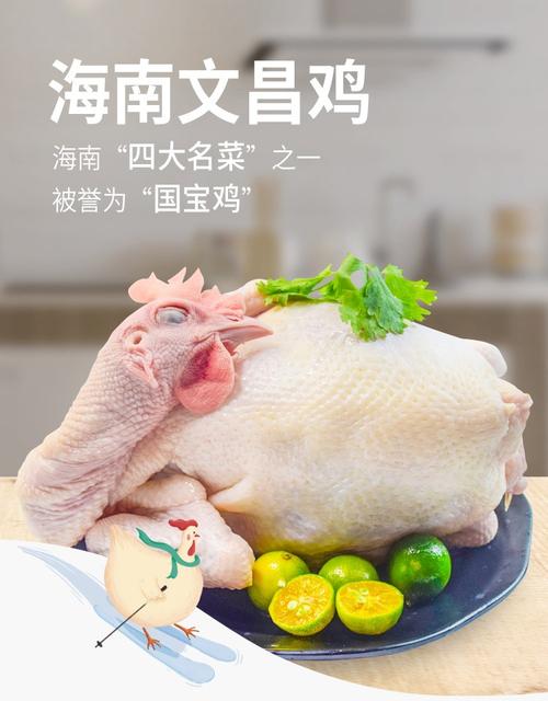 目前市场上文昌鸡有哪些品牌？