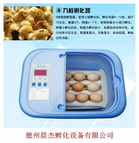 想买一台孵化鸡蛋鹅蛋鸭蛋全自动孵化器哪个牌子的好给点意见