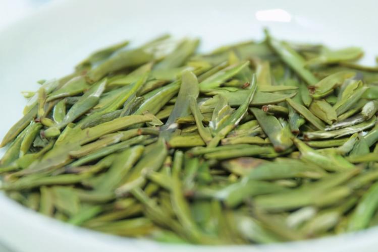 雪芽是什么茶？
