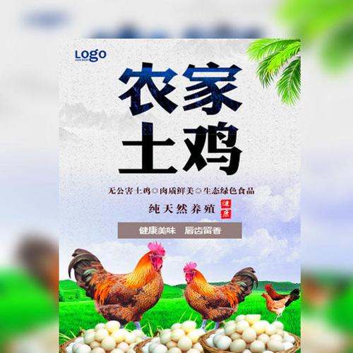 高端土鸡有哪些品牌