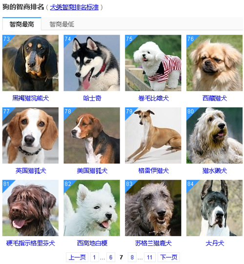 狗的品牌排名。世界都有什么狗？