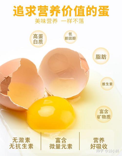 品质好的鸡蛋品牌知乎