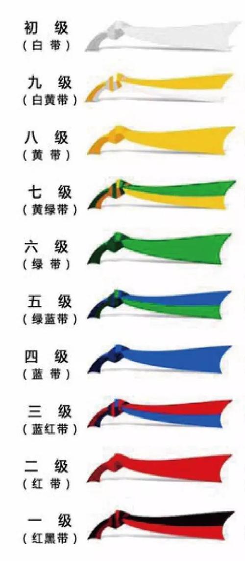 跆拳道一共有几段？