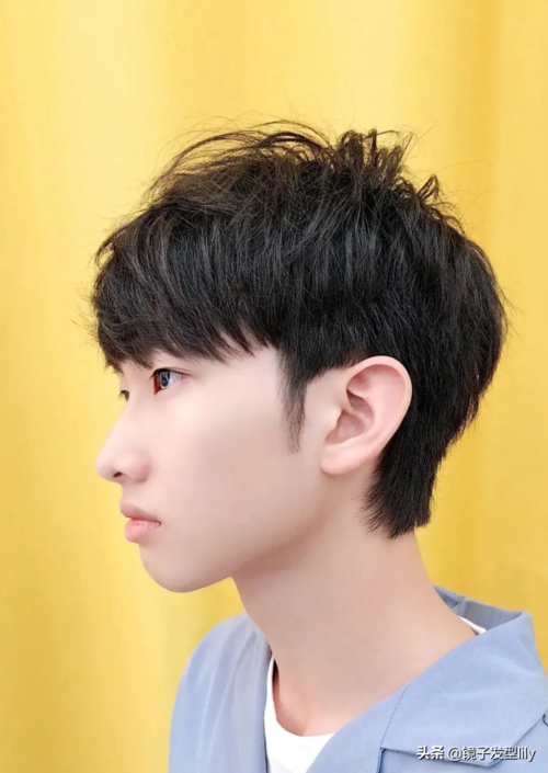 男生头小脸小适合什么发型