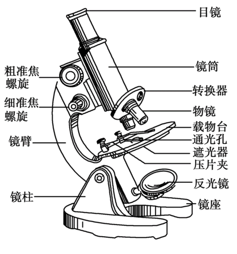请问显微镜有哪几种？