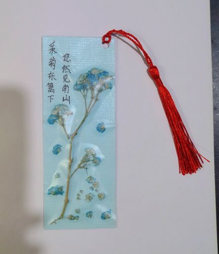 什么是书签，书签是用来做什么的