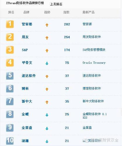 中国十大财务软件公司排名？