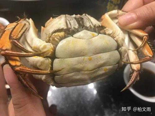 大匣蟹什么时候吃最好
