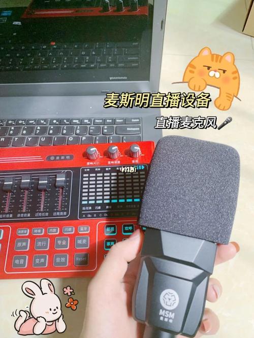 录歌用什么声卡好