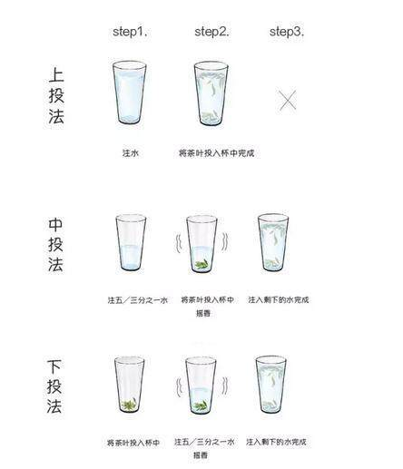 绿茶正确的冲泡方法