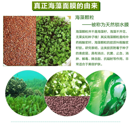 海藻面膜加什么调最好？