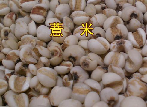 薏米网怎么样