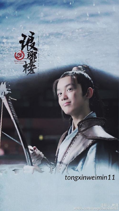 《琅琊榜》里的飞流是由谁饰演的？