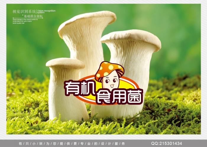 
</p>
<p>
菌类的商标名字
</p>
<p>
