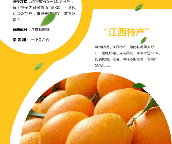 全国橙子排名