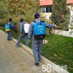 哪家消杀公司灭虫害效果好呀？