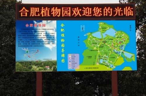 合肥植物园目前门票多少？
