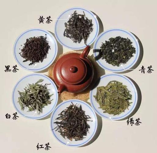 茶的种类有多少种？