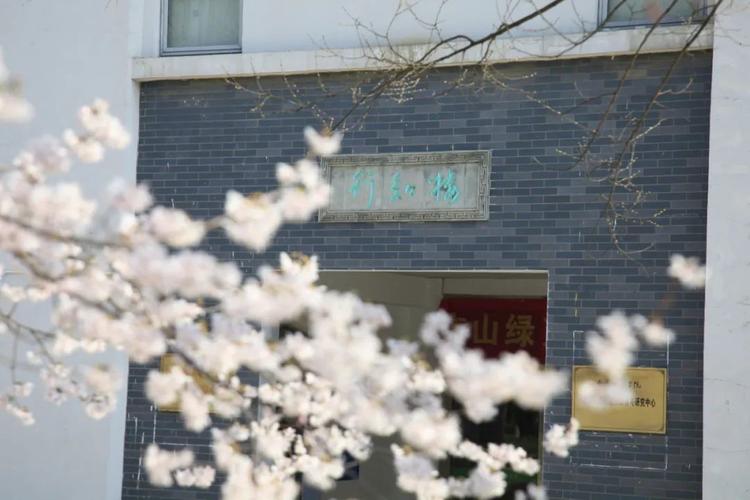 南京晓庄学院行知学院怎么样？