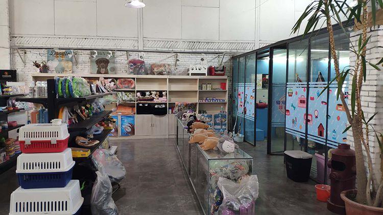 如何开另类宠物店