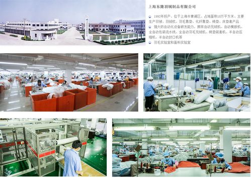 芜湖东隆家纺有限公司怎么样？