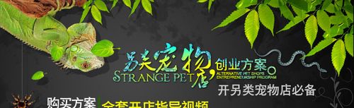 另类宠物店加盟