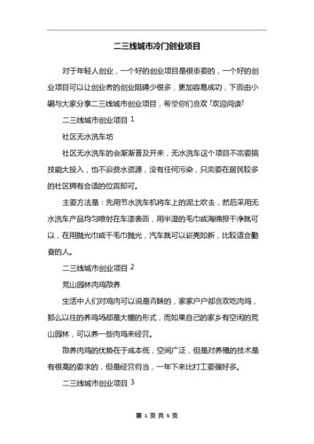 有哪些冷门的创业项目