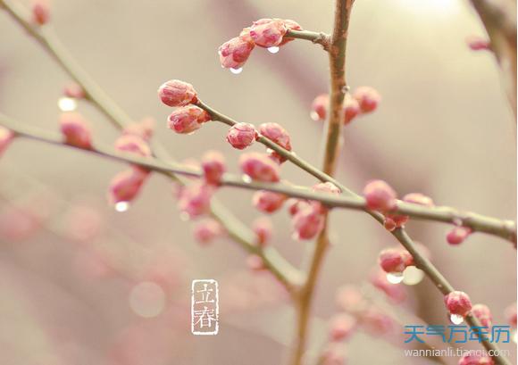2014立春从几点到几点
