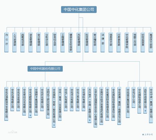 中国中化集团公司 都有哪些下属单位