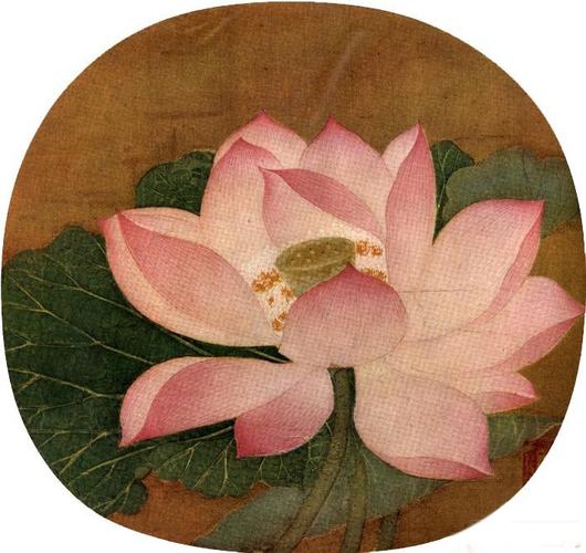 中国古代民间有哪些关于莲花的传统？