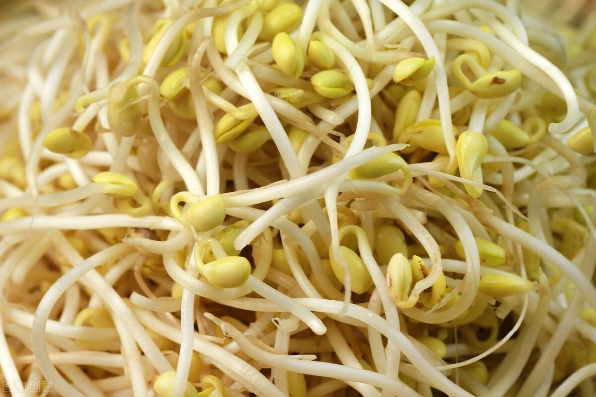豆芽花是什么颜色问？