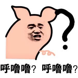 呼噜噜什么意思