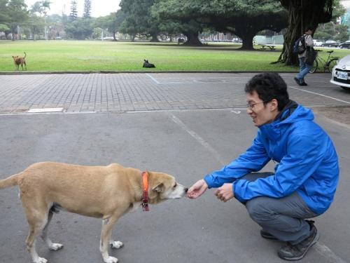 女大学生在校园遭成群流浪狗撕咬，为何会无故被流浪狗咬？
