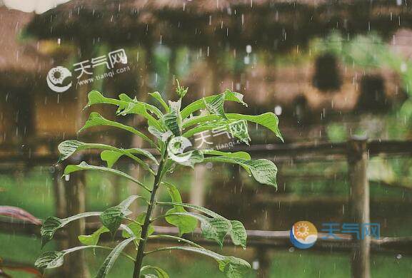 什么时候进入梅雨季节