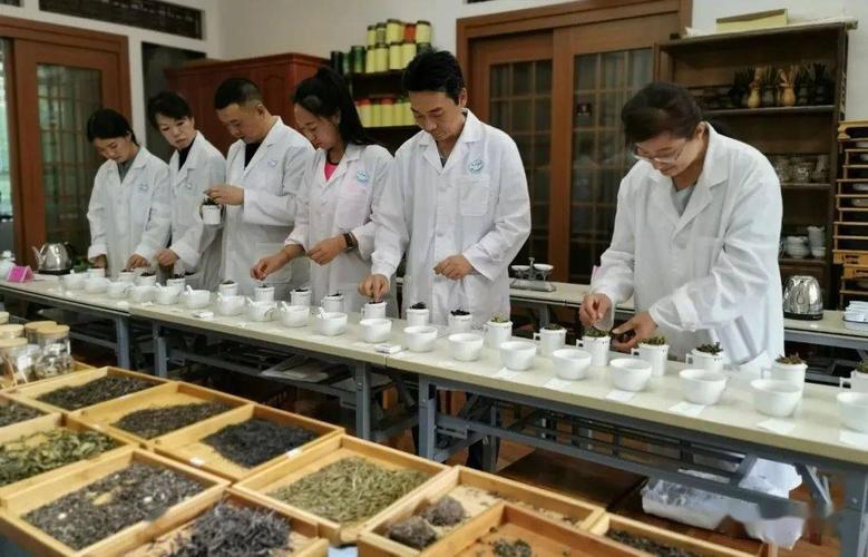 评茶师和品茶师有什么区别