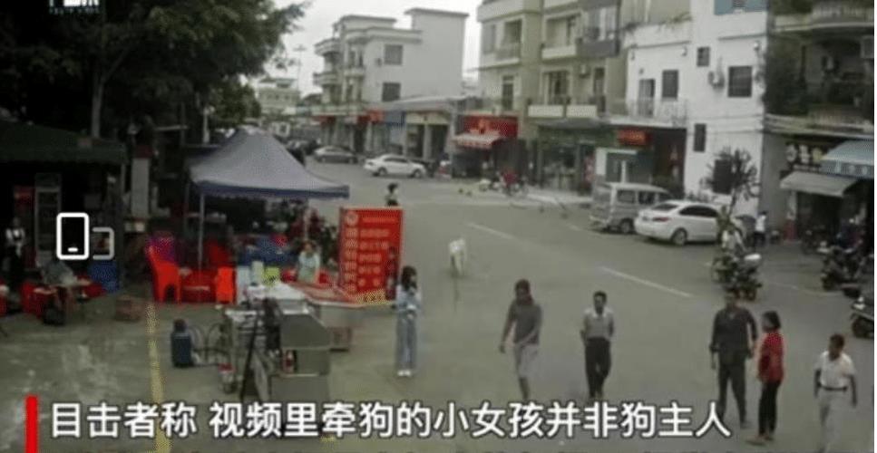 河北遵化女子带宠物狗进超市追咬幼童狂殴老人！优酷上有视看不下去了~谁知道那女人~知道有赏