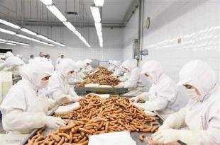 什么是食品半成品加工，具体是一个什么概念？
