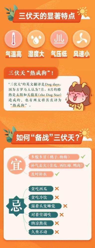 从哪一天开始数伏？