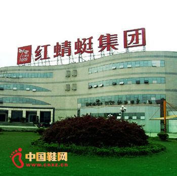 红嘴集团的集团基本概况
