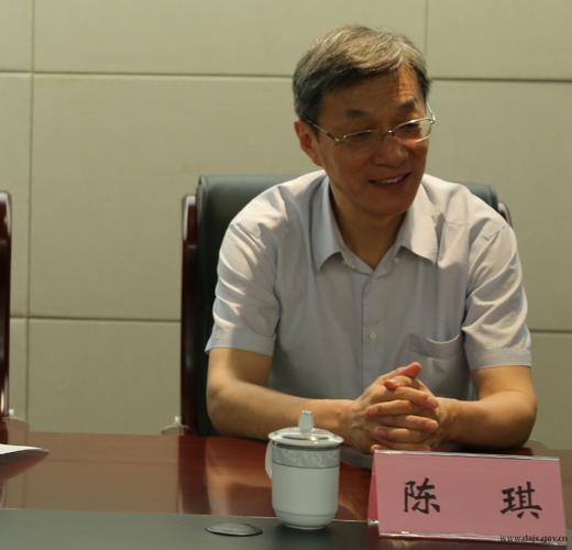 陈琪的工作经历