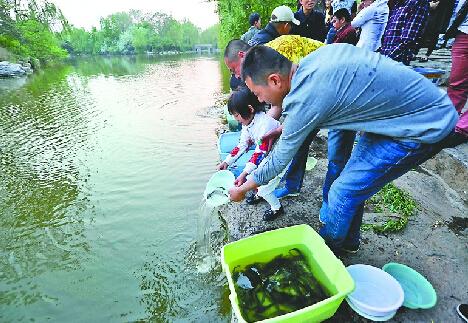 大明湖放生鱼死亡 佛教为什么给鱼放生