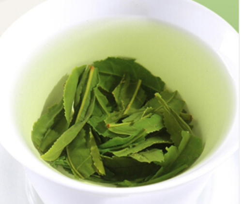怎样冲泡六安瓜片茶