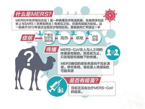 MERS是什么意思