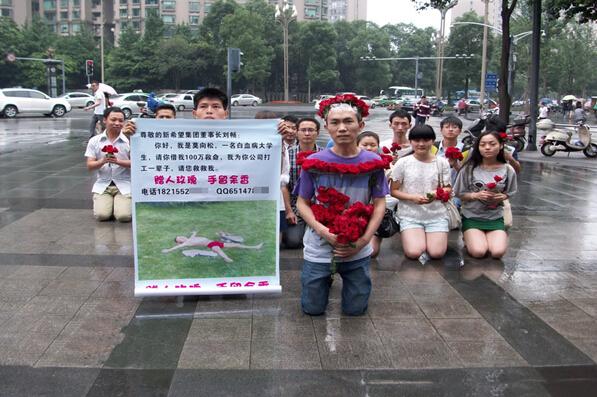 白血病大学生集体下跪事件的事件回顾