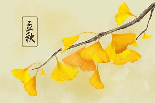 什么时候立秋2018