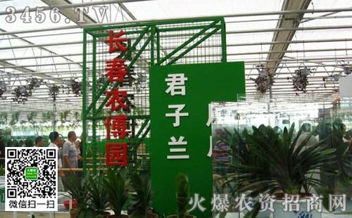 长春农博会在长春什么地方开，吉林去参加的人开车怎样走