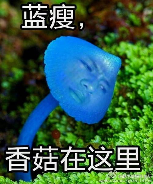 “蓝瘦香菇”做成菜 半小时卖光，蓝瘦香菇是什么意思