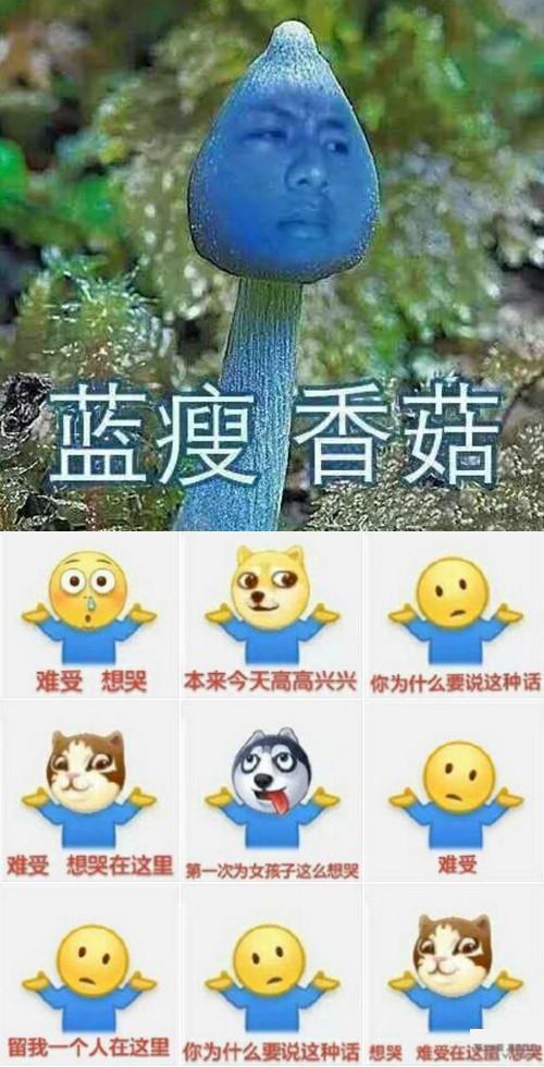 蓝瘦香菇哥怎么红的？