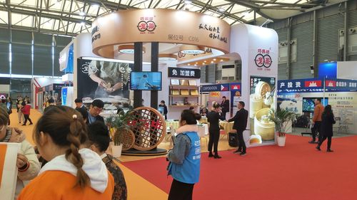最近上海有什么招商加盟的展会吗？