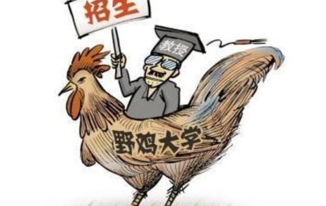 野鸡大学是什么意思？